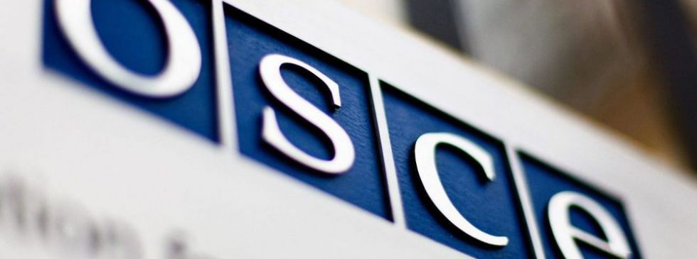 Вилкул: Появление мониторинговой миссии ОБСЕ на Закарпатье показывает, что Украина становится пугалом для Европы