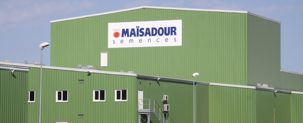 Один з найбільших іноземних інвесторів в сільськогосподарський кластер Дніпропетровщини — французька компанія «Маїсадур-Семанс», яка спеціалізується на виробництві високоякісного насіння і поставляє свою продукцію в 35 країн 